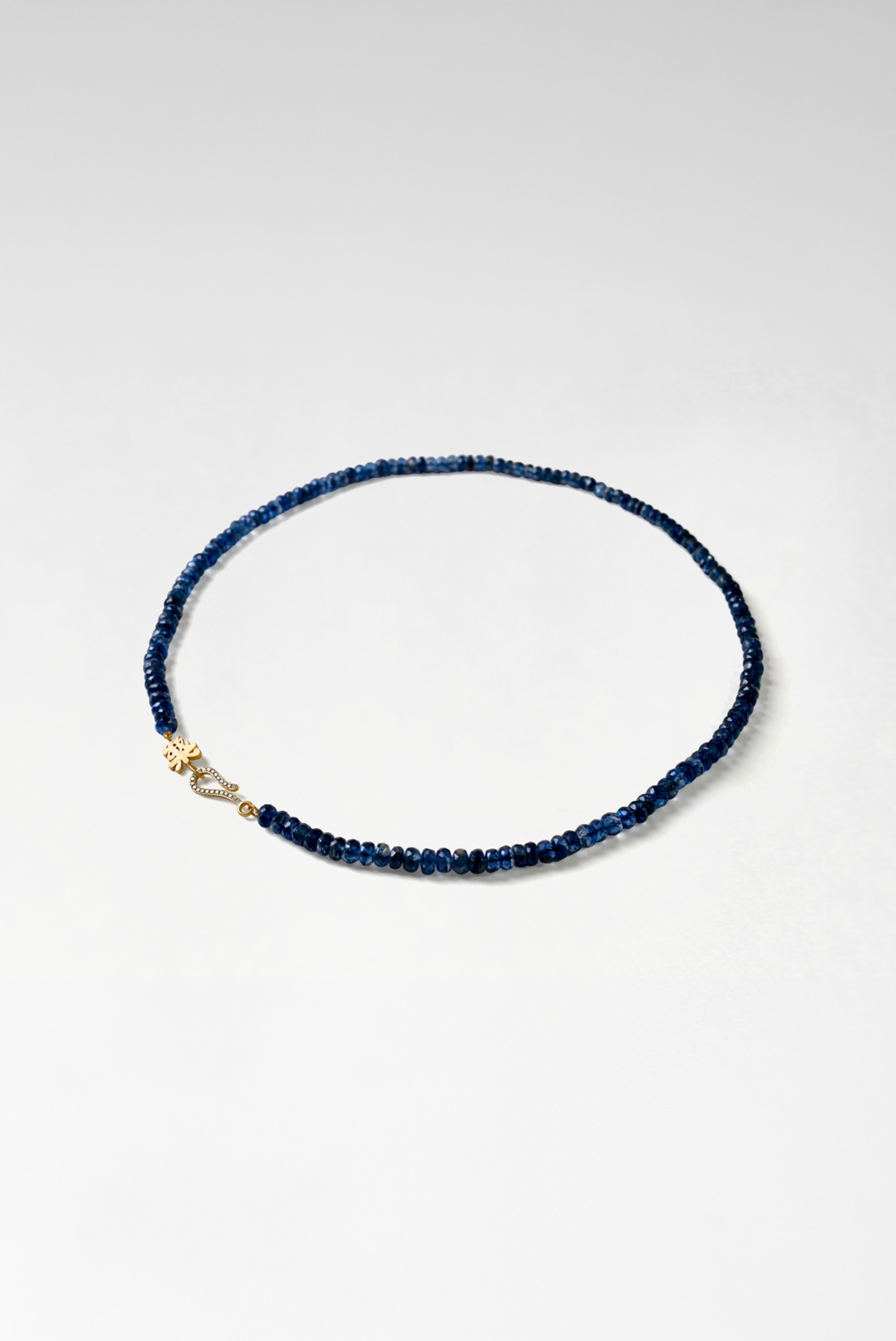 Joy 樂 Hooked Kyanite Beaded Necklace